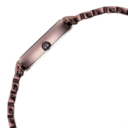 Raga Women's Allure: Brown Dial with designer Metal Strap Watch 5 Raga Women's Brown Dial