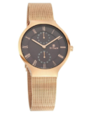 Titan Workwear Brown Dial Women Watch