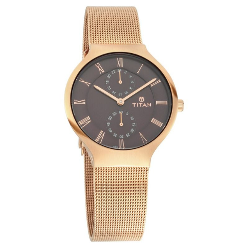Titan Workwear Brown Dial Women Watch