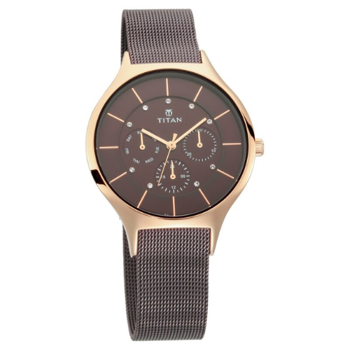 Titan Workwear Brown Dial Quartz