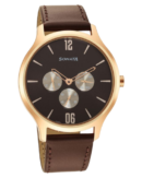 Sonata Quartz Multifunction Brown Dial