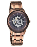 Sonata Unveil Quartz Analog Brown D