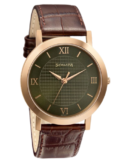 Sonata Quartz Analog Green Dial