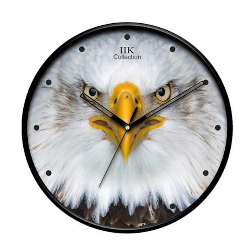 IIK COLLECTION Designer Analogue Round Plastic Wall Clock